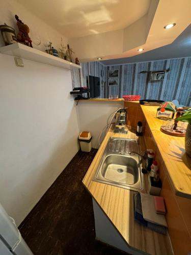 a kitchen with a sink and a wooden counter top at Apartmány Roudnice in Jestrabi V Krkonosich