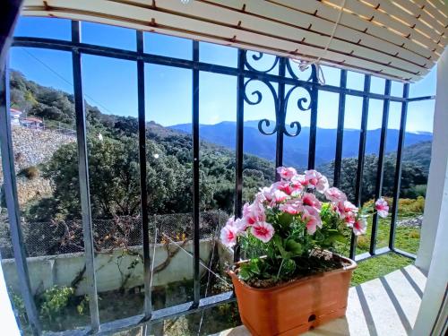a window with a potted plant and a view at La casa de mis padres in Júzcar