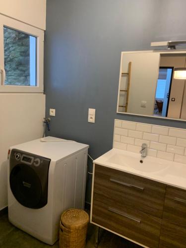 een badkamer met een wastafel, een toilet en een spiegel bij Appartement en RDC chaleureux à 100m des plages et du centre ville in Concarneau