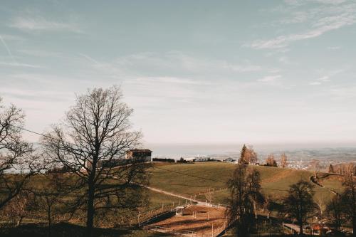 a hill with trees and a road on it at Dorf 70 in Eichenberg