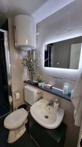 Koupelna v ubytování Studio APARTMAN 404-401