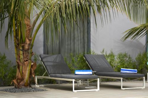 two lounge chairs sitting next to a palm tree at Résidence Gabriel in Sali Nianiaral