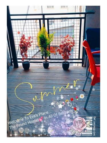 Un cartel de bienvenida en una terraza con plantas y flores. en STUDIO Eva, en Sajmište