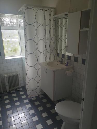 een badkamer met een toilet en een wastafel bij Hóll in Óbyggðasetur