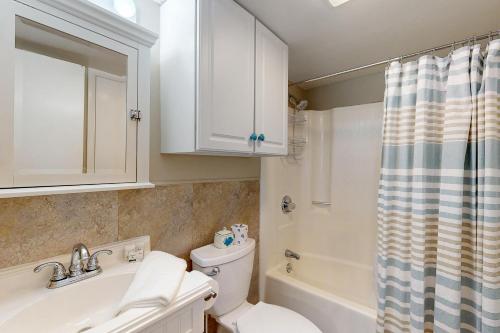 a bathroom with a toilet and a sink and a shower at Driftwood Villa - 267 in Edisto Island