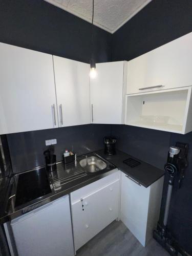 a small kitchen with white cabinets and a sink at Appartement centre de lyon in Lyon