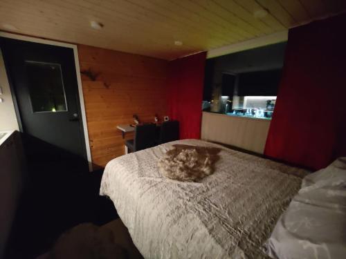 eine Katze, die in einem Schlafzimmer auf einem Bett liegt in der Unterkunft Lapland Aurora cabin in Rovaniemi