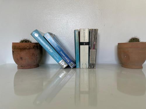 a group of books sitting on a table next to two plants at Cozy Surf House in Taghazout