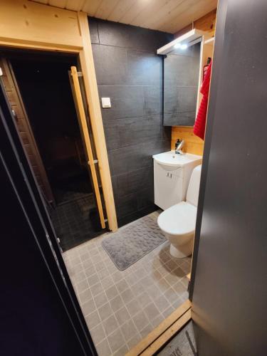 a bathroom with a toilet and a sink at Lapland Aurora cabin in Rovaniemi
