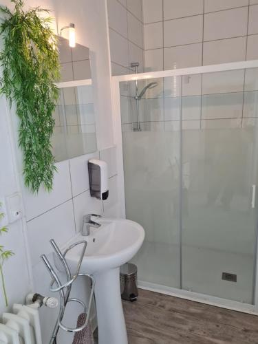 a white bathroom with a sink and a shower at Le St Jean Bis in Saint-Jean-de-la-Porte