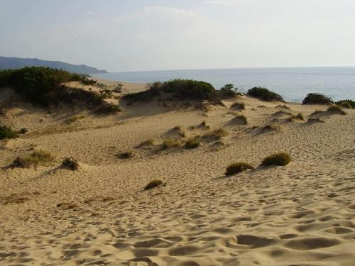 a sandy beach with grass growing in the sand at Casa vacanze con terrazza panoramica vista mare in Portu Maga