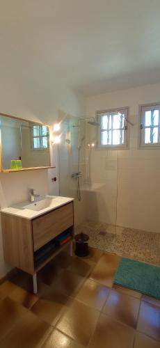 une salle de bain avec un lavabo et une douche en verre dans l'établissement UNE CHOUETTE MAISON, à Beaucaire