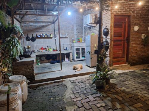 a kitchen with a cat laying on the floor at Bua Guest House in Medan