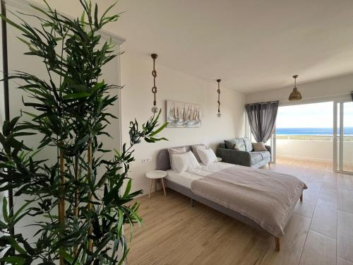 salon z kanapą i dużą rośliną w obiekcie Blue Ocean Morro Jable w mieście Morro del Jable