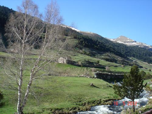 a grassy hill with a tree and a river at L'ORENETA - Peu del Riu 712 - Vall d'Incles - Soldeu Hut 8367 in Incles