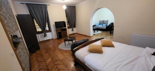 1 dormitorio con 1 cama y sala de estar en Schei apartments en Brasov