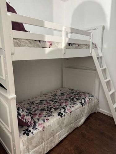 a couple of bunk beds in a room at Classis King and Queen suites in Schenectady