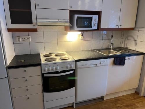 a small kitchen with a stove and a sink at AaltoStudio Alajärvi-Center in Alajärvi