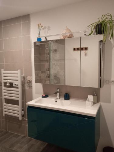 a bathroom with a sink and a mirror at LA PETITE MEUNIERE in Tramain