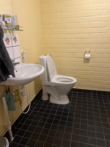 a bathroom with a toilet and a sink at Private room in a shared detached house in Seinäjoki