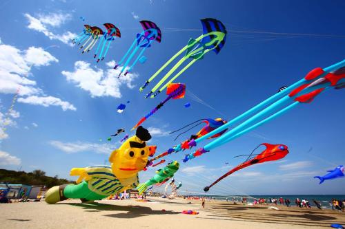a bunch of kites flying in the sky on the beach at Hotel Wega in Bellaria-Igea Marina