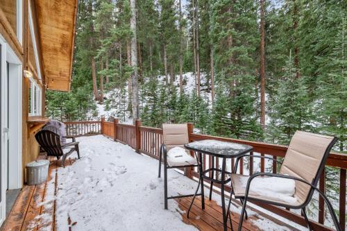 Mill Creek Cabin - Dumont v zimě