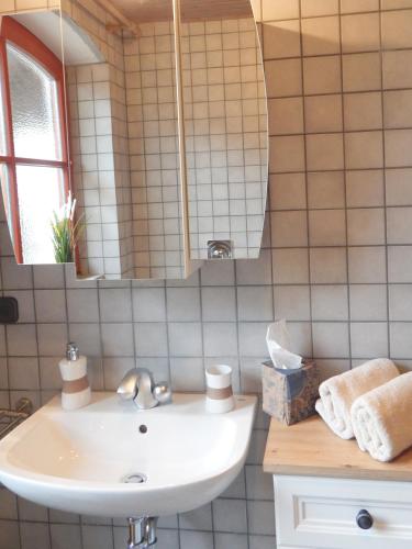 a bathroom with a sink and a mirror at Altmuehl Familienvilla in Treuchtlingen