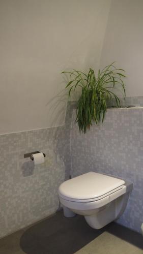 a bathroom with a toilet and a potted plant at Het Zwolse Huisje in Zwolle