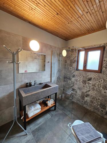 a bathroom with a sink and a shower at Orino Livadi Mount Villa IV in Arachova