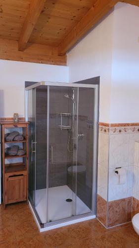 een glazen douche in een badkamer met een wastafel bij Zur Tilli in Neustift im Stubaital