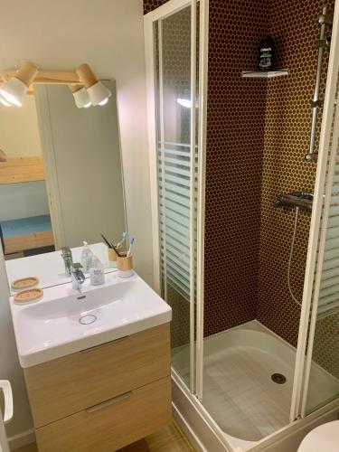 une salle de bain avec une douche et un lavabo et une douche dans l'établissement Studio Cabine Chaleureux 4 Personnes Pied des Pistes Pyrénées 2000, à Bolquère-Pyrénées 2000