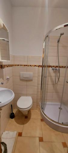 a bathroom with a shower and a toilet and a sink at Leśne Runo - Bałtów Centrum in Bałtów