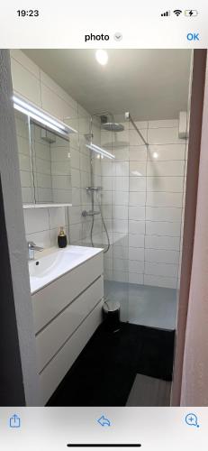a bathroom with a shower and a sink and a mirror at Appartement t2 foirail étage in Espalion