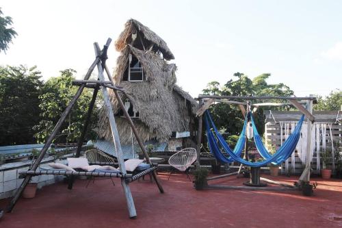 a playground with swings in front of a tree at Jungla Bacalar in Bacalar