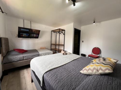 a bedroom with two beds and a red chair at VOY Hostales - 4 Norte in Viña del Mar