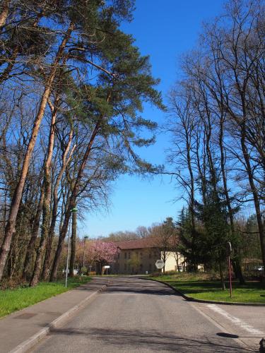 an empty road with trees on the side of a house at The Originals City, Hôtel et Restaurant Aster, Saint-Avold Nord in Creutzwald-la-Croix