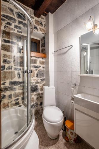a bathroom with a toilet and a shower and a sink at Ξενώνας Φωταξία in Palaios Agios Athanasios