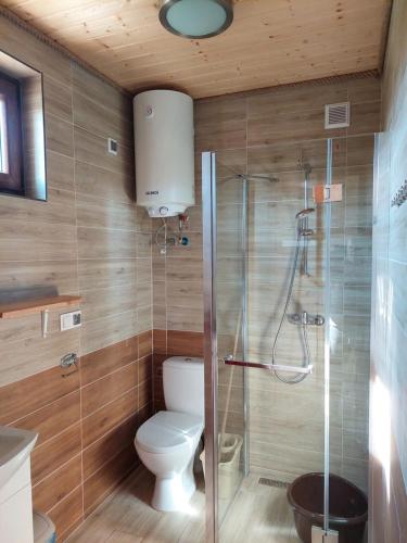 a bathroom with a toilet and a glass shower at Radzikowo Domki in Rozewie