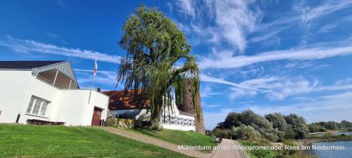 a weeping willow tree next to a white house at Ferienwohnung "Erika" Rees am Niederrhein in Rees