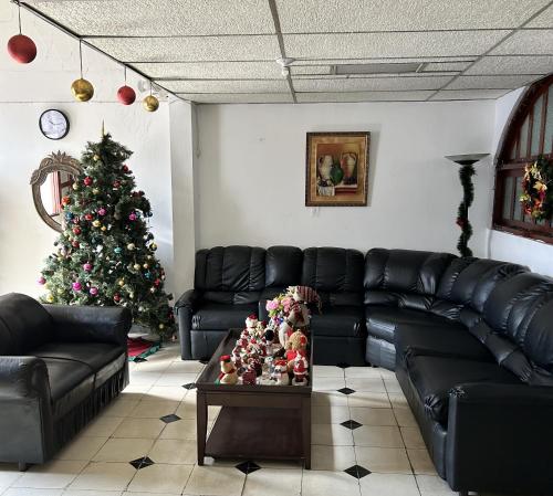 a living room with a christmas tree and a leather couch at El Callejon Guest House in León