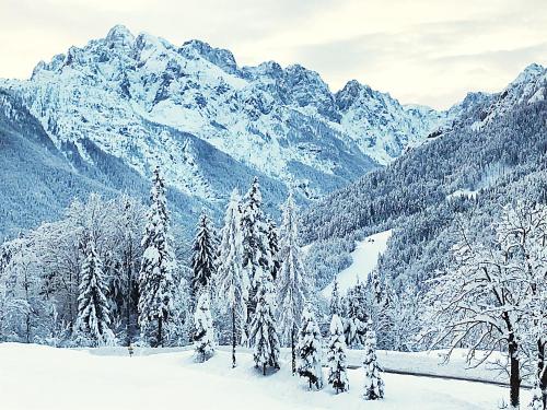 a snowy mountain range with trees and snow covered mountains at Pr'Gavedarjo Eco Heritage B&B in Kranjska Gora