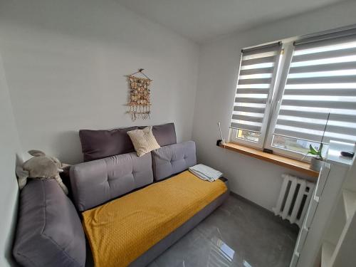ein Sofa im Wohnzimmer mit Fenster in der Unterkunft Apartament Morze i Las in Mrzeżyno