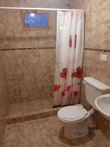 ペリト・モレノにあるLa Casa de Zoeのトイレとシャワーカーテン付きのバスルーム