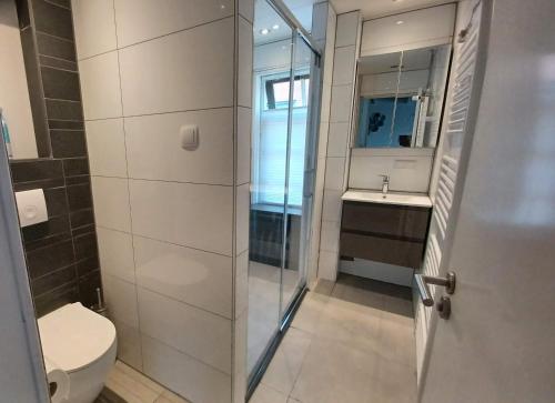 een badkamer met een douche, een toilet en een wastafel bij Karakteristiek huis in centrum Winsum met nieuwe badkamer in Winsum