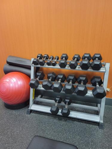 a lego exercise equipment with a red ball next to it at Hampton Inn & Suites Austin Cedar Park-Lakeline in Austin