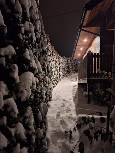 Domek Leniuchowo en invierno
