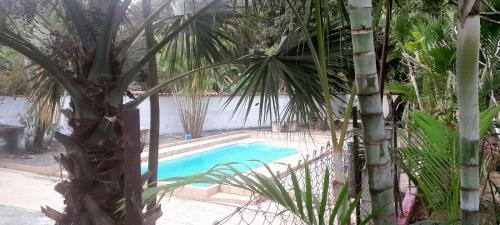 a swimming pool with a palm tree next to it at Regenera Gaia in Betim
