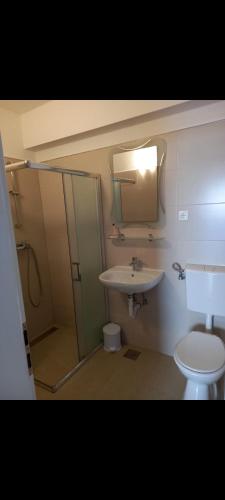 La salle de bains est pourvue de toilettes, d'un lavabo et d'une douche. dans l'établissement Vila Rosanda, à Slatine
