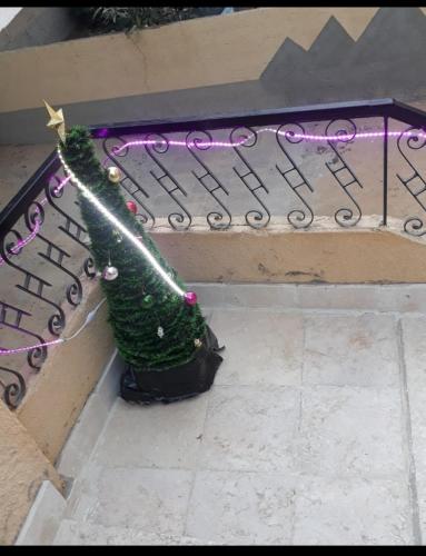 Φωτογραφία από το άλμπουμ του Nana Pyramids Guest House στο Κάιρο