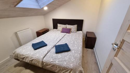 a bedroom with a bed with two blue pillows on it at Tihase one bedroom garden view apartment in Tallinn